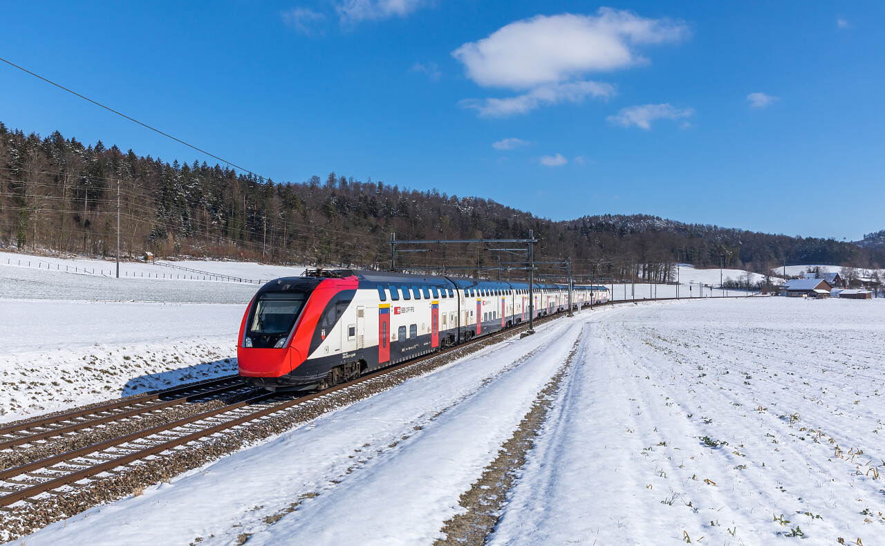 Rabe Der Sbb Zwischen Elgg Und Schottikon