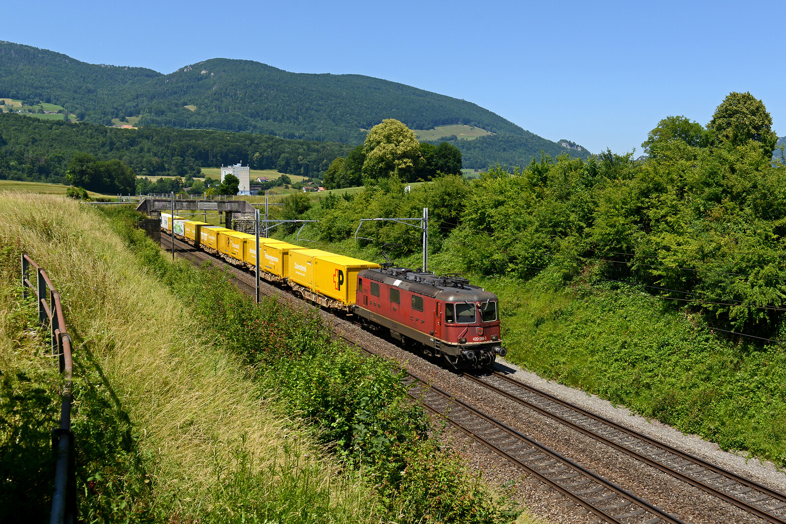 Re 420 269 der SBB (Schweizerische Bundesbahnen) zwischen Niederbipp und Wangen an der Aare, Schweiz